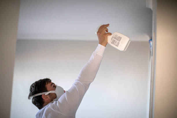 Best Mold Testing  in Auburn, GA